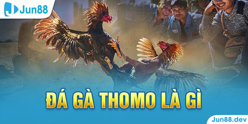 Đá Gà Thomo – Đổi Thưởng Hấp Dẫn Nhất Hiện Nay